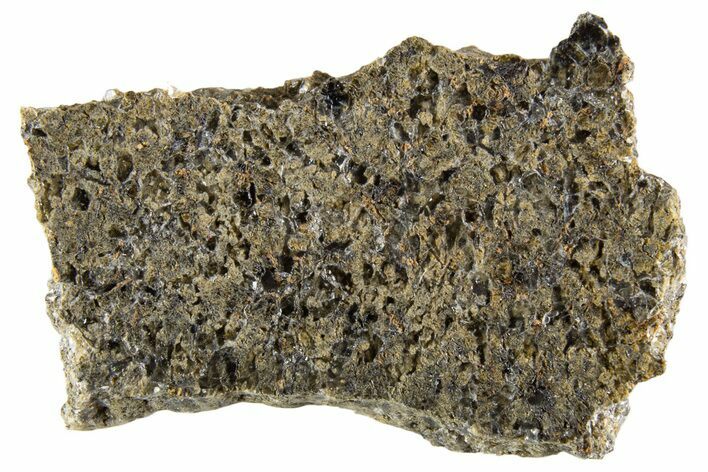 Martian Shergottite Meteorite ( g) Slice - NWA #335348